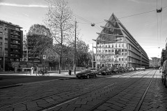 DSC_4556-copia