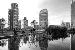 DSC_4581-copia