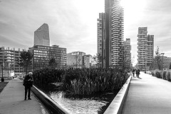 DSC_4587-copia
