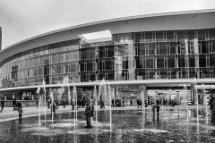DSC_7365