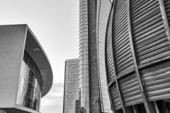 DSC_7377