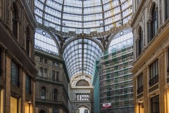 DSC_1049