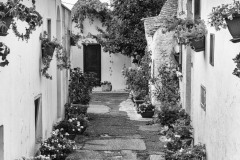 DSC_6876bw