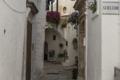 DSC_6901