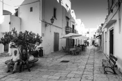 DSC_6902-2bw