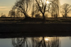 11gen2019_0061
