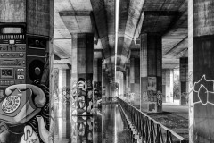 2039-bw