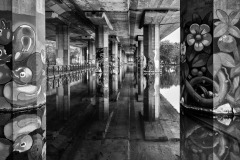 2058bw