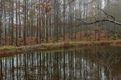 DSC0016