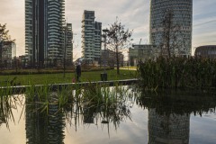 DSC_4584
