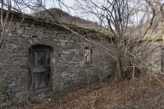 DSC1897