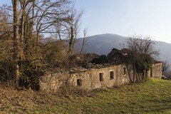 DSC1954